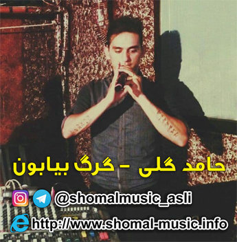 دانلود آهنگ گرگ بیابون حامد گلی